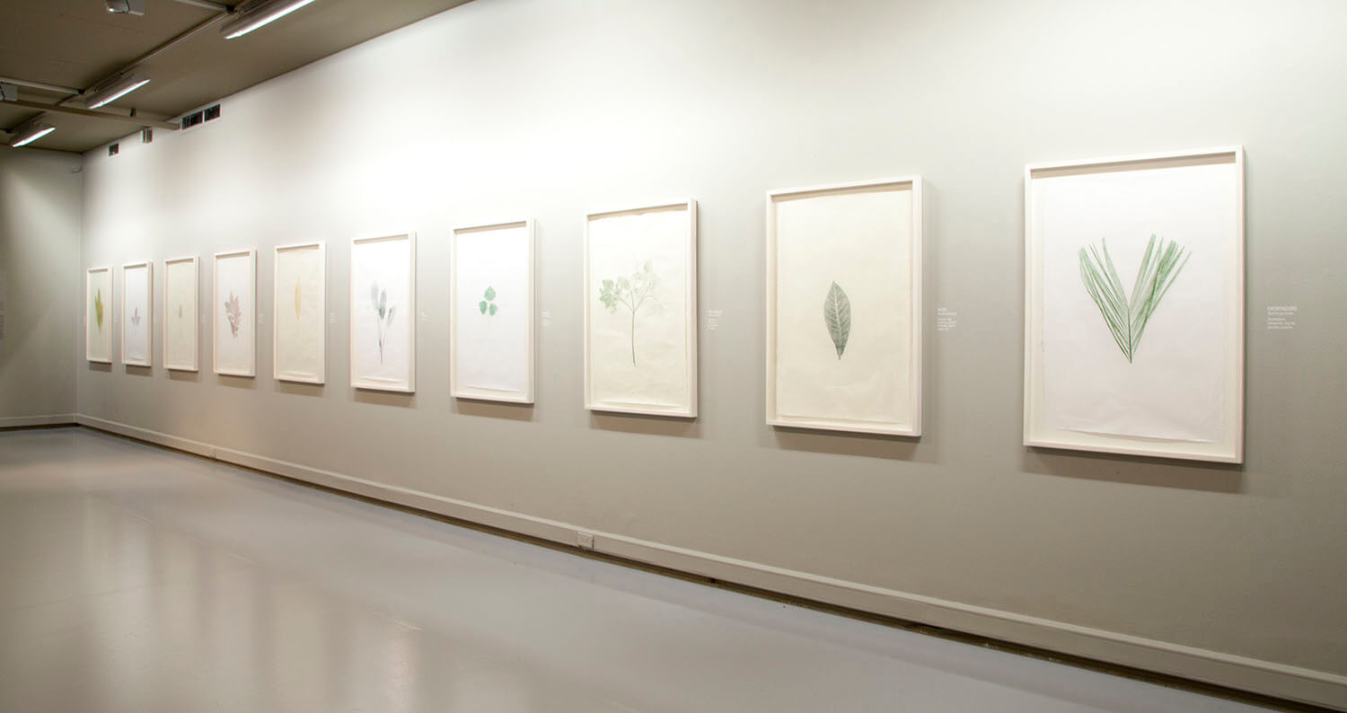 EXPO GALERIA eafit_6.jpg